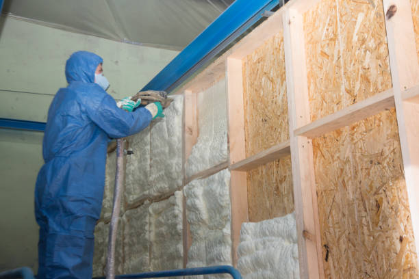 Best Wall Insulation Contractor  in Hitchcock, TX